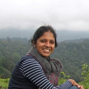 Akshaya Ayyangar_Okapi Research & Advisory Akshaya Ayyangar_Okapi Research & Advisory