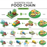 Shorten Your Food Chain