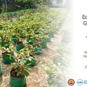 Edible Rooftop Gardens As A Climate Adaptation Solution