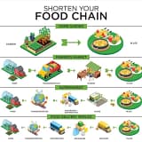 Shorten Your Food Chain